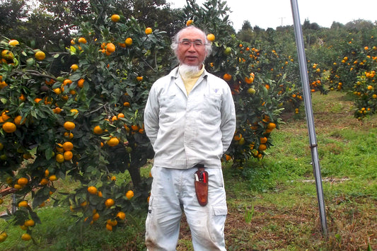 [有機栽培]早生みかん4kg（おおたに農園）