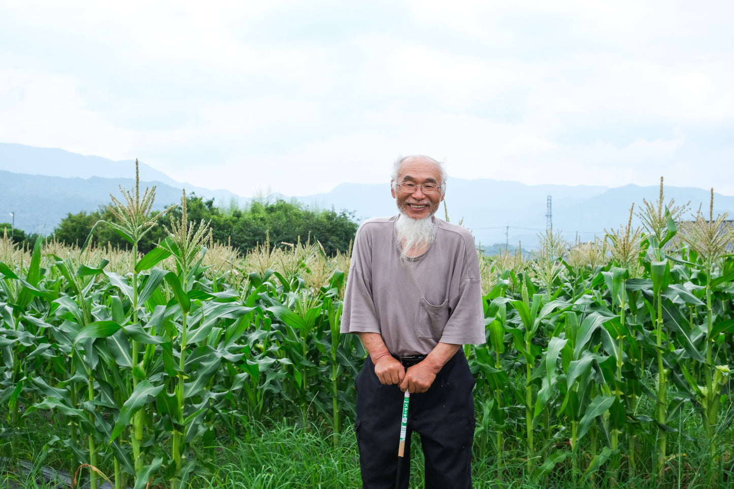 送料込【野菜ソムリエプロ監修】身体がよろこぶ野菜セット