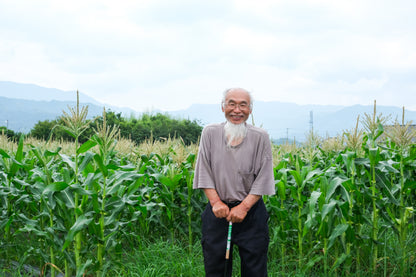 送料込【野菜ソムリエプロ監修】身体がよろこぶ野菜セット