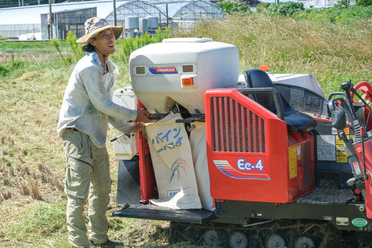 [半年払い]自然栽培米10kg「ヒノヒカリ」松井農園　送料無料