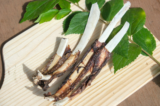 鹿の肉付きあばら骨（80g）