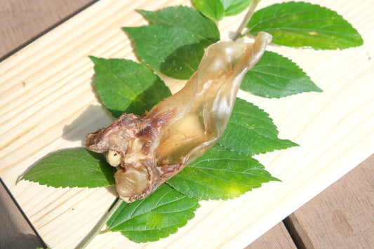 鹿の耳（3〜4個）