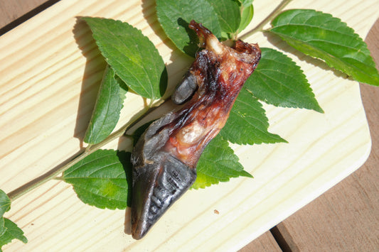 鹿の蹄（3〜5個）