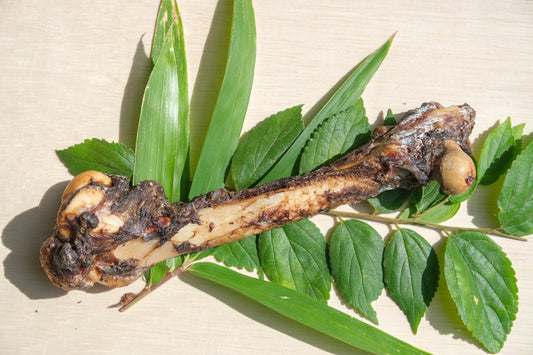 鹿の脚骨（大）