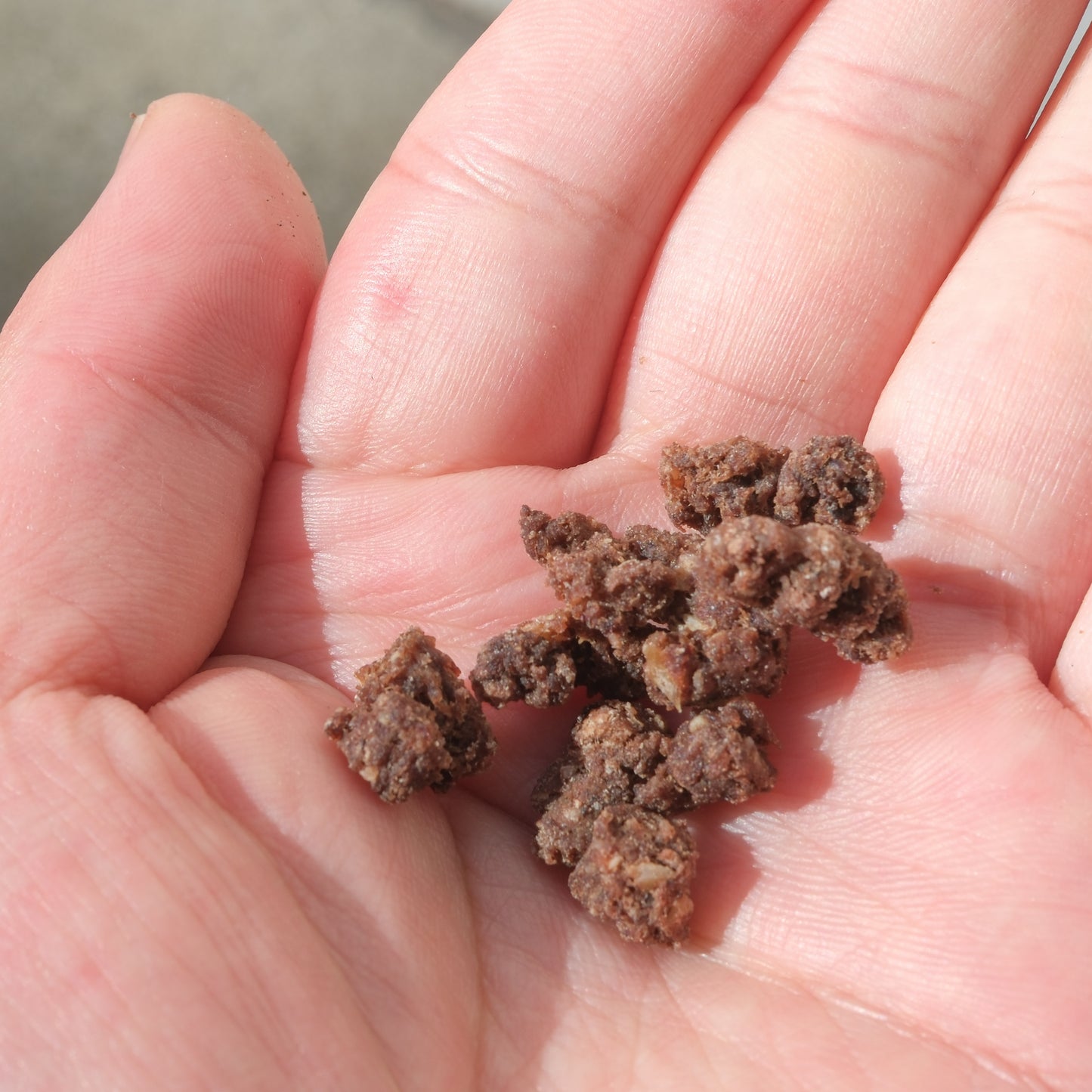 鹿肉の骨入り粗挽きふりかけ（40g）-肉と骨のダブル栄養。カルシウムもタンパク質も補います！