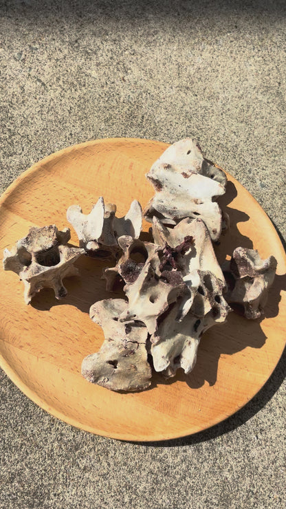 柔らか骨ミックス（冷凍）-圧力鍋でモロモロに。硬くない、食べる骨。