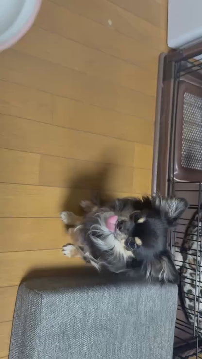 鹿肉の骨入り粗挽きふりかけ（40g）